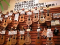 DSCN3112.JPG