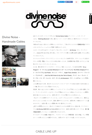 正規輸入品 Divine Noise Handmade Cable シールドケーブル ディバインノイズ ハンドメイド エレキギター エレキベ : 正規輸入品 Divine Noise Handmade Cable シールド