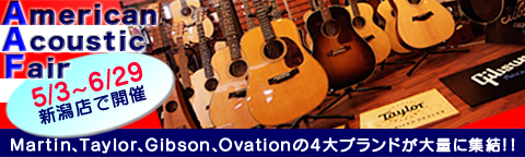 AmericanAcousticair����Ź�ǳ��š�