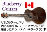 Blueberry Guitars