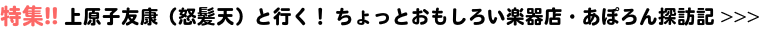 上原子友康(怒髪天)と行く! ちょっとおもしろい楽器店・あぽろん探訪記