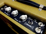 swart space tone reberb tweed