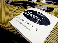 swart space tone reberb tweed