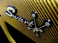 swart space tone reberb tweed