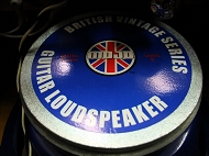 swart space tone reberb tweed