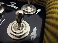 swart space tone reberb tweed