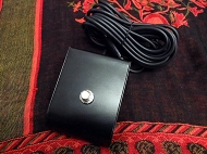 swart space tone reberb tweed