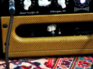 Swart Night Light Jr.